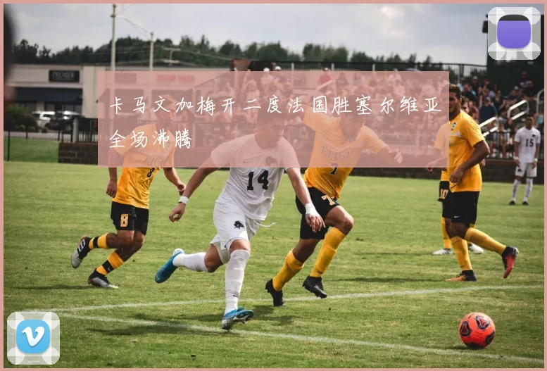 卡马文加梅开二度法国胜塞尔维亚全场沸腾