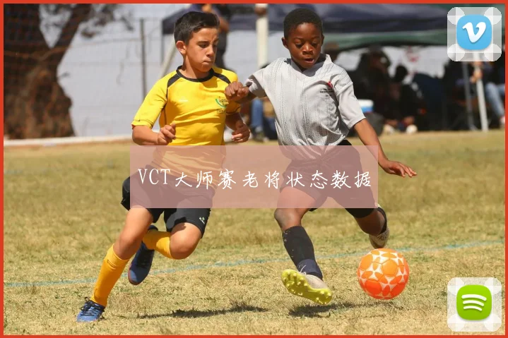 VCT大师赛老将状态数据